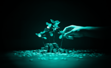A plant and coins symbolizing long-term trading growth.